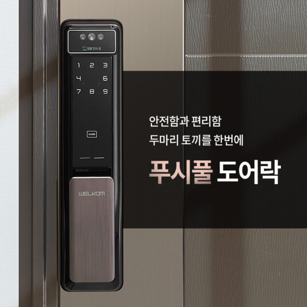 WSP-2900A 얼굴인식 푸시풀디지털도어락 현관문번호키 안면인식+카드키2+번호 블루투스(옵션)-AI딥러닝기술