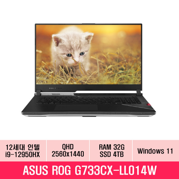 ROG SCAR G733CX-LL014W 12세대 인텔i9 RTX3080Ti NVMe2TB+NVMe2TB 램32G 17인치 게이밍 노트북 추천 EU