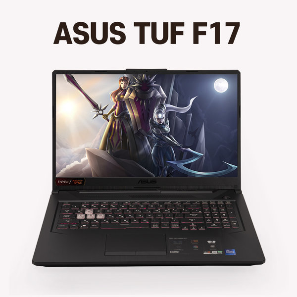 ASUS TUF Gaming F17 FX706HM-HX006+RAM총64G